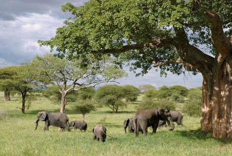 National park