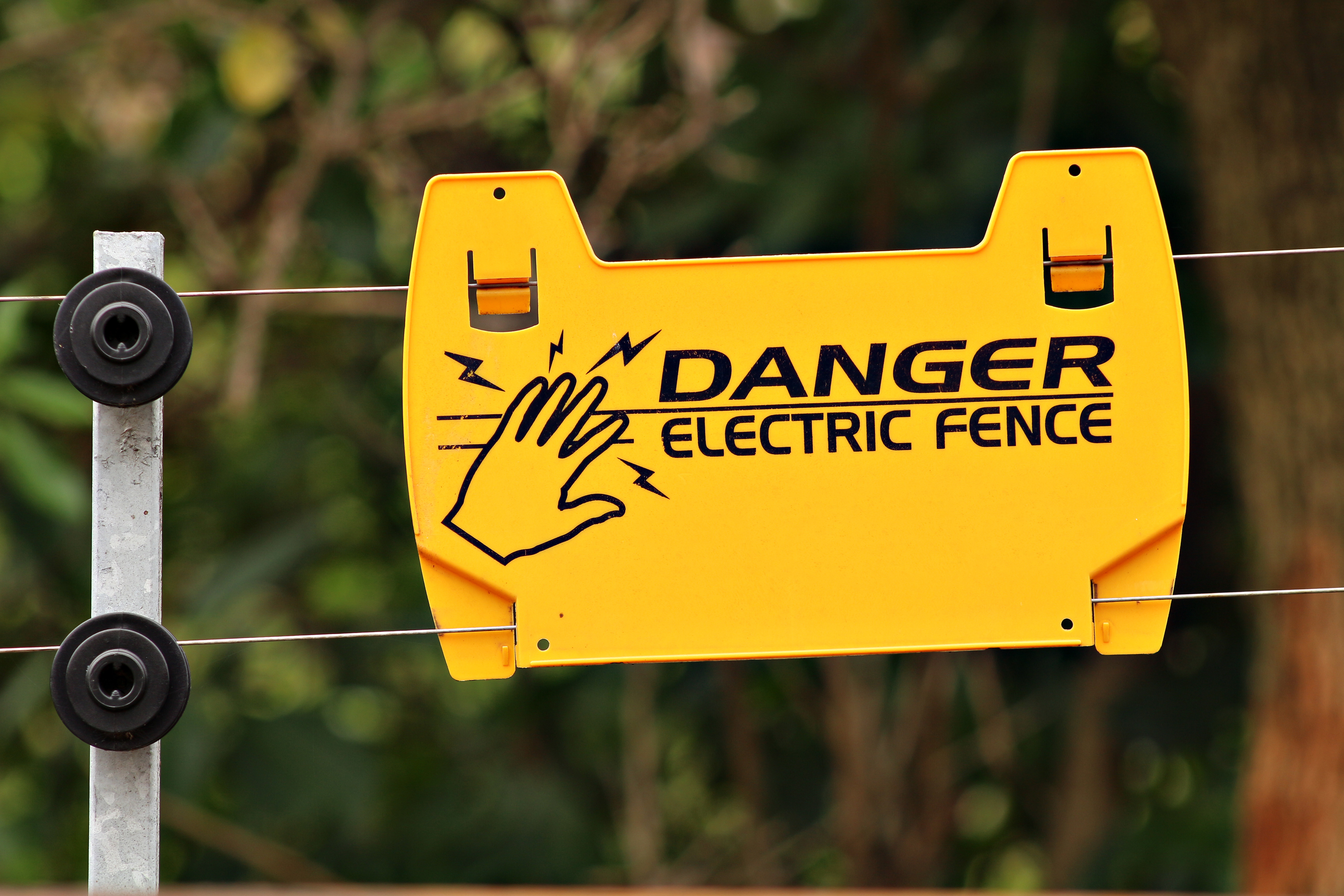 Electric Fence